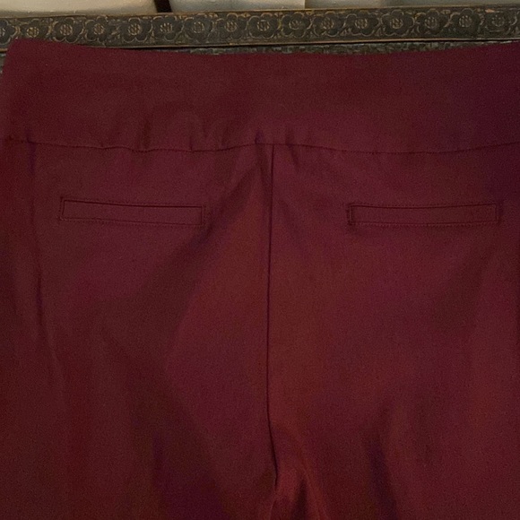 Zac & Rachel Ankle Pants - Picture 3 of 4